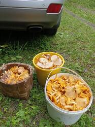 IMG_20250807_132531_591.jpg