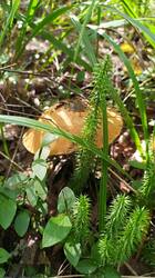 IMG_20250809_103838.jpg