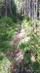 IMG_20250809_104648.jpg