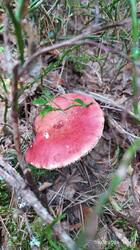 IMG_20250809_113507.jpg