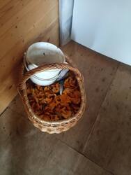IMG_20250810_083451.jpg