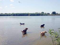 IMG_20250810_115423_408.thumb.jpg.499bdd63b4574b61c6223f6f945a8bb6.jpg
