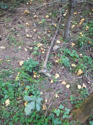 IMG_20250810_132116.jpg