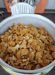 IMG_20250810_151240.jpg