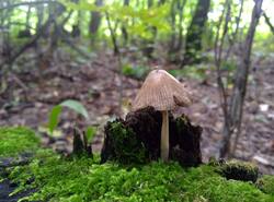 IMG_20250810_162353_gcam_3.2.thumb.jpg.97723a9fbf673debf63006dd8f384be6.jpg