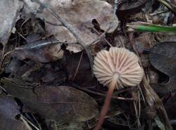 IMG_20250810_162543_gcam_3.2.thumb.jpg.5103aebe7eb635c1d31171b1ddb55d7c.jpg