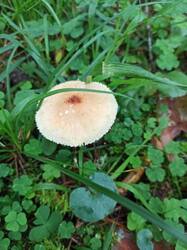 IMG_20250813_082948.jpg