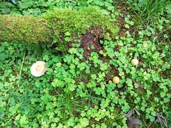 IMG_20250813_085753.jpg