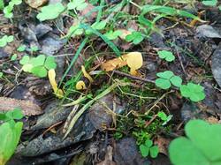 IMG_20250813_092635.jpg