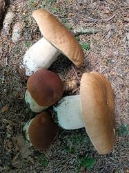 IMG_20250814_112214.jpg
