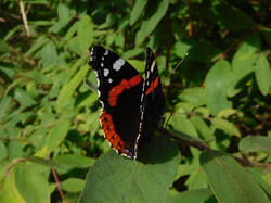 IMG_20250814_143550.jpg