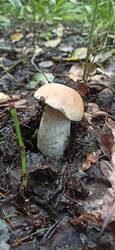 IMG_20250814_175014.jpg