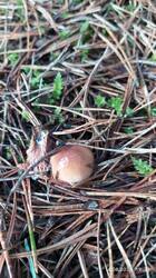 IMG_20250814_193358.jpg