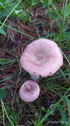 IMG_20250814_201136.jpg