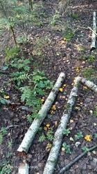 IMG_20250815_065806_166.jpg