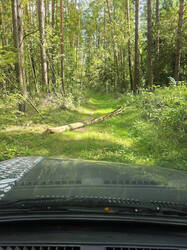 IMG_20250815_105244.jpg