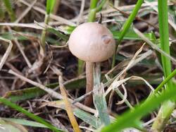 IMG_20250815_184313.thumb.jpg.a67a7110f258756e335ddec93a11e9e0.jpg