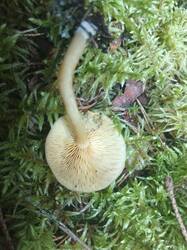 IMG_20250816_061345.jpg