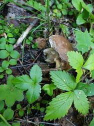 IMG_20250816_074207.jpg