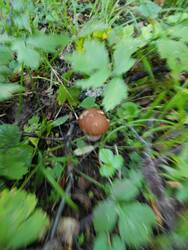 IMG_20250816_074721.jpg