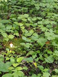 IMG_20250816_082227.jpg