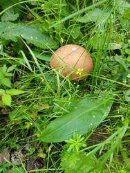 IMG_20250816_084014.jpg