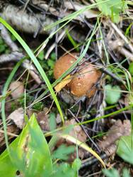 IMG_20250816_092130.jpg