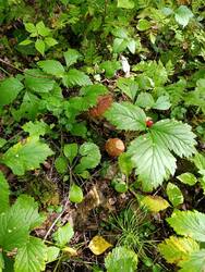 IMG_20250816_094743.jpg