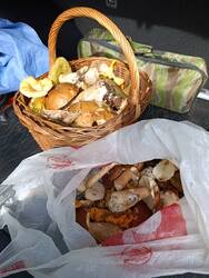 IMG_20250816_095706.jpg