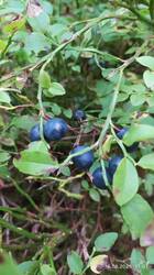 IMG_20250816_110133.jpg