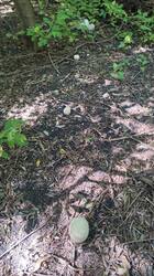 IMG_20250816_144916.jpg