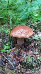 IMG_20250816_162200.jpg