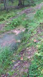 IMG_20250816_162708.jpg