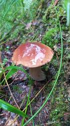 IMG_20250816_162716_1.jpg