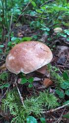 IMG_20250816_162936.jpg