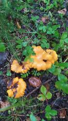 IMG_20250816_164404.jpg