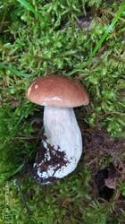IMG_20250816_173909.jpg