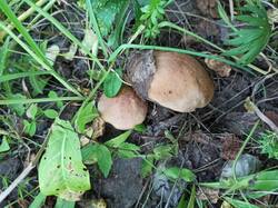 IMG_20250816_184141.jpg
