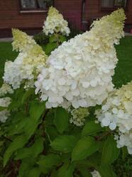IMG_20250816_190315.jpg