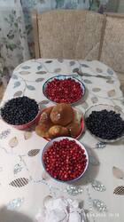 IMG_20250816_191816.jpg