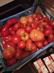 IMG_20250816_193245.jpg