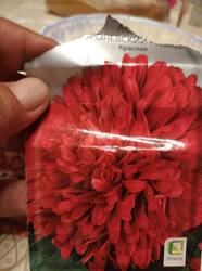 IMG_20250816_210941_1.jpg