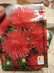 IMG_20250816_210957_1.jpg
