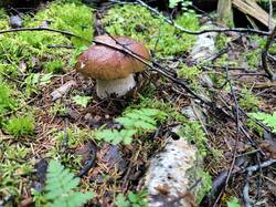 IMG_20250817_090141.jpg