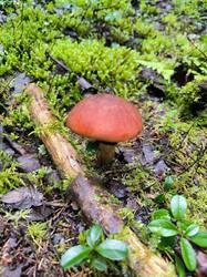 IMG_20250817_094747.jpg
