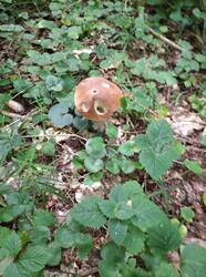 IMG_20250817_145645.jpg