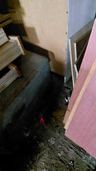 IMG_20250817_225505.jpg