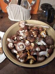 IMG_20250818_183340.jpg