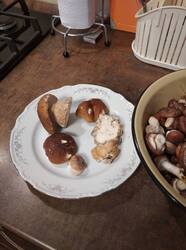 IMG_20250818_183342.jpg