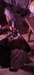 IMG_20250819_013251.thumb.jpg.407c093a8789dc4f794c0e450e8af832.jpg